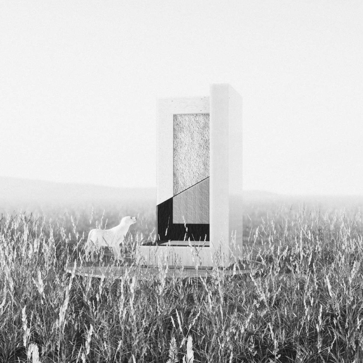 Olea - Vue du projet